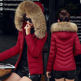 Slim cotton padded jacket and down jacket